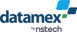 Logo Datamex